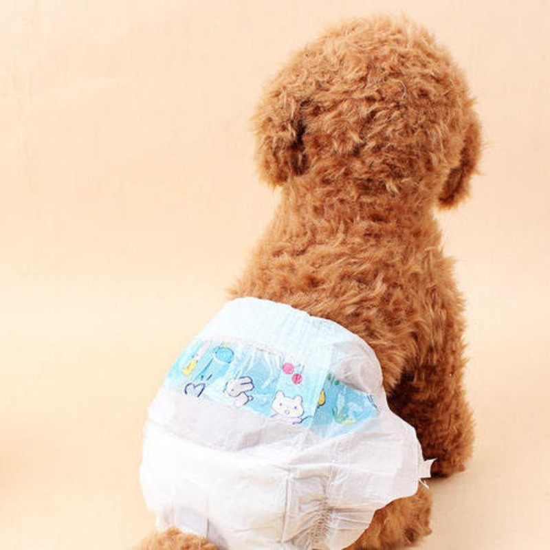 Disposable Cotton Pet Diapers for Dogs Female Dog Diaper Clean Up Products